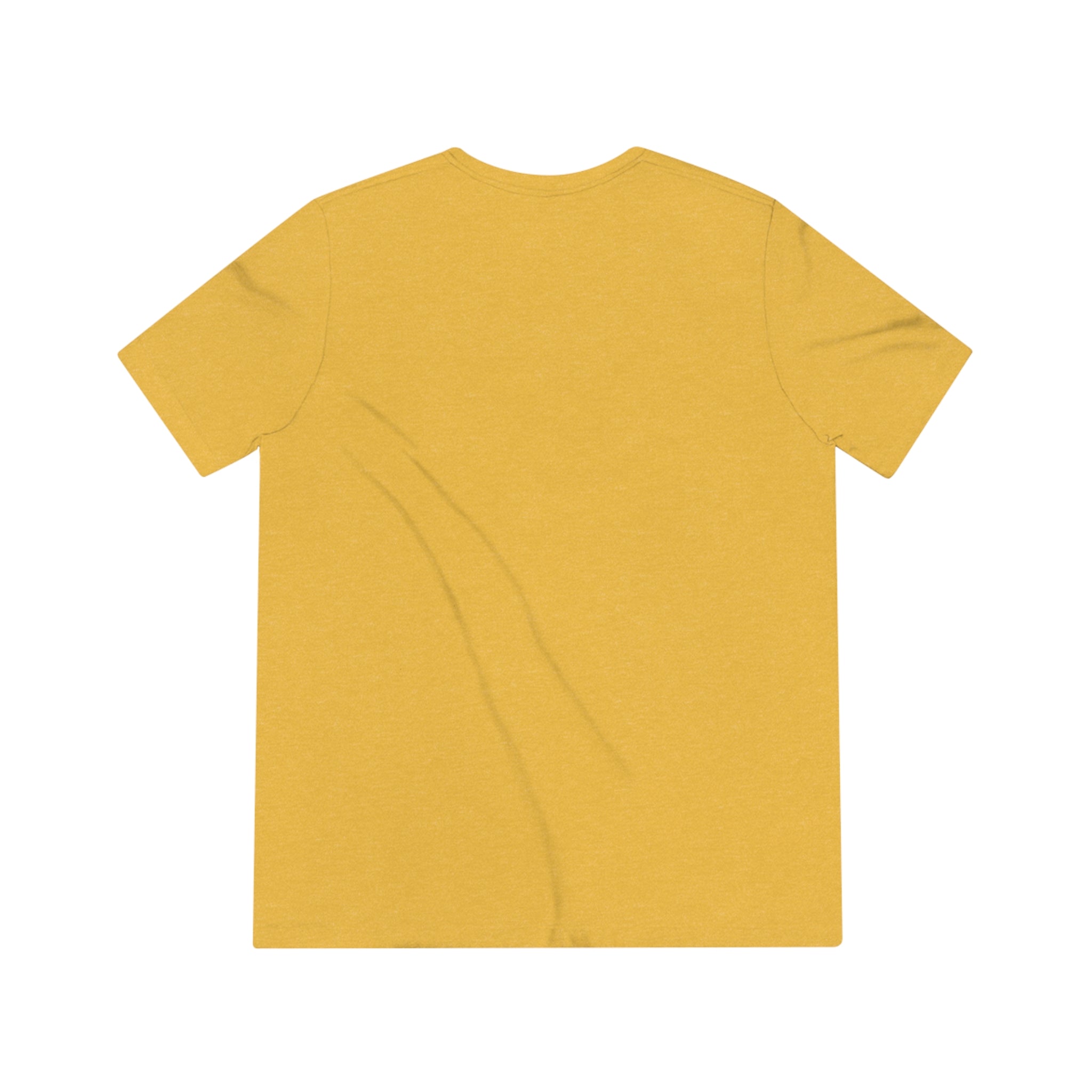 Pickleball Clothing Company Vintage Tee Shirt - Black Logo