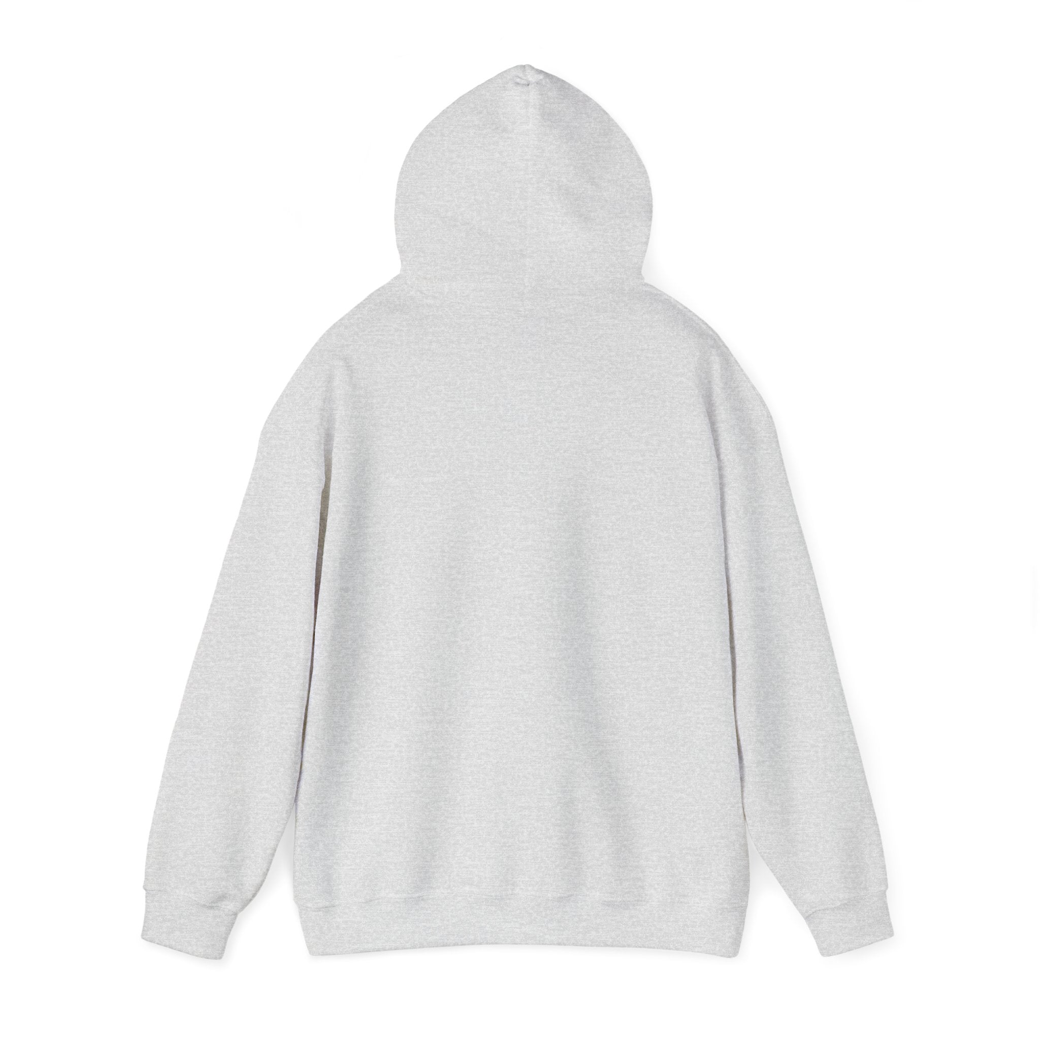 Classic Pickleball Hoodie